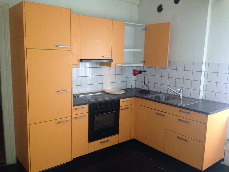 Appartement 2 pièces au centre ville de Bienne (1)