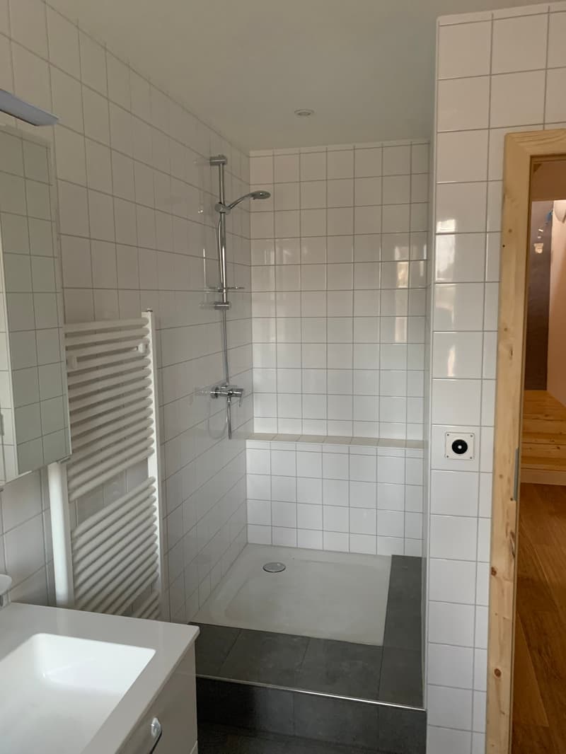 Appartement duplex de 4 pièces sous les toits à Péry (12)