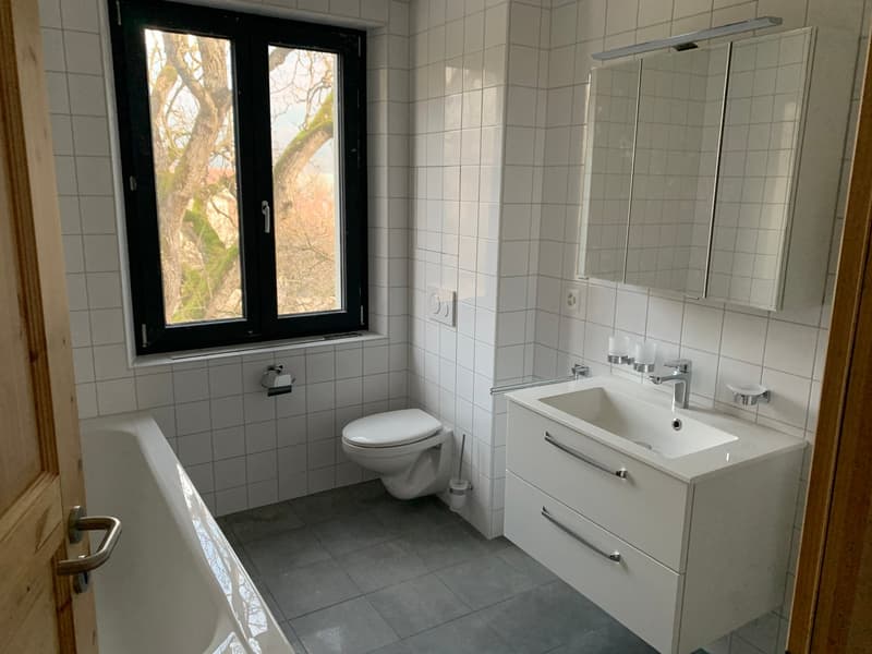 Appartement duplex de 4 pièces sous les toits à Péry (13)