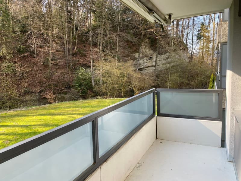 Balcony with glass railings, overlooking a grassy field and forest