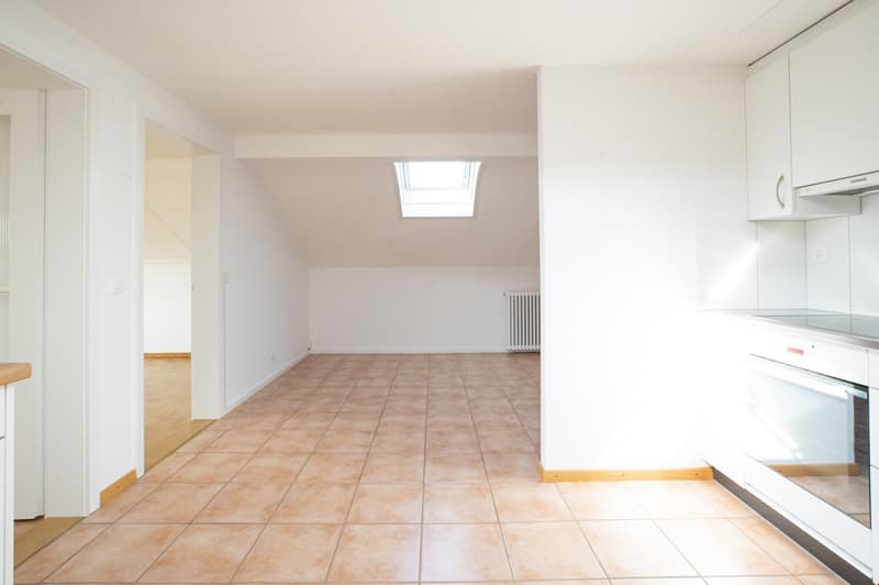 zentrale Dachwohnung (4)
