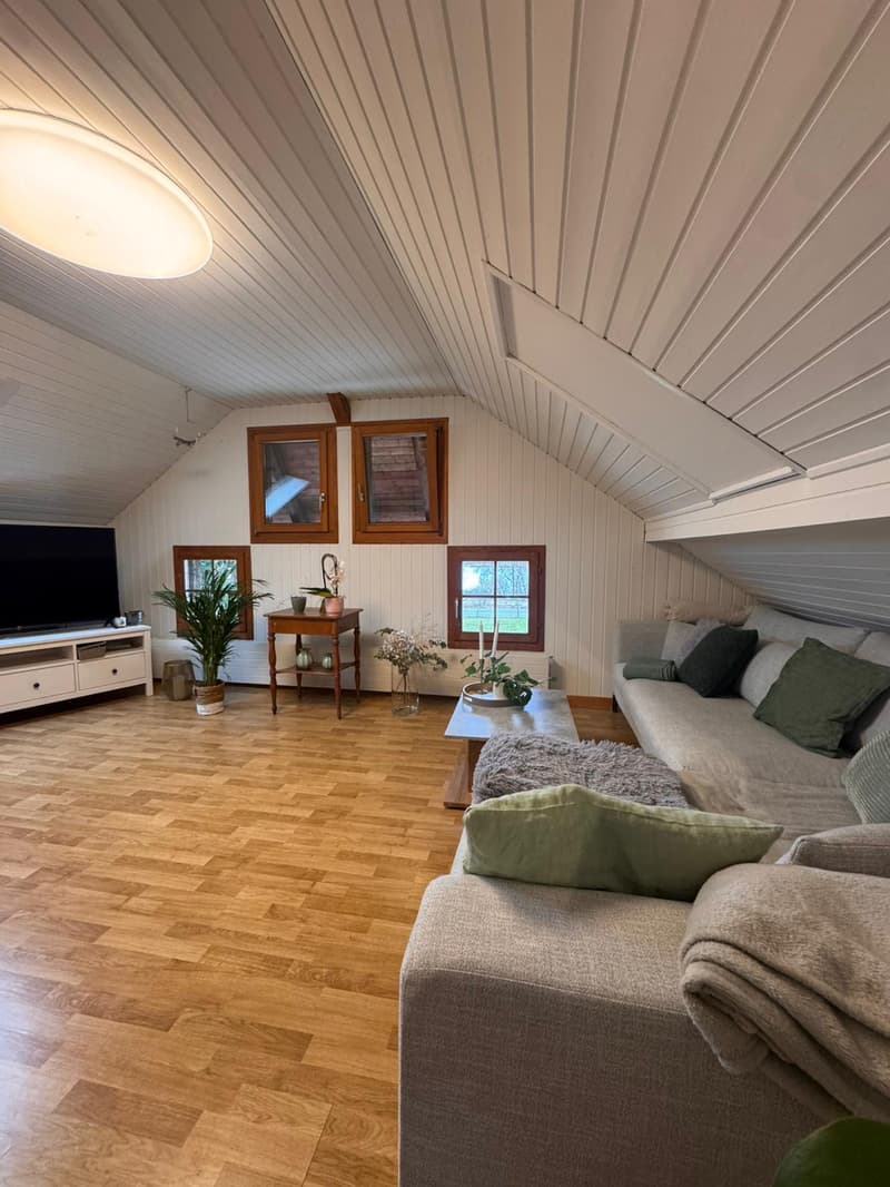 Charmante Dachwohnung mit Seesicht (5)