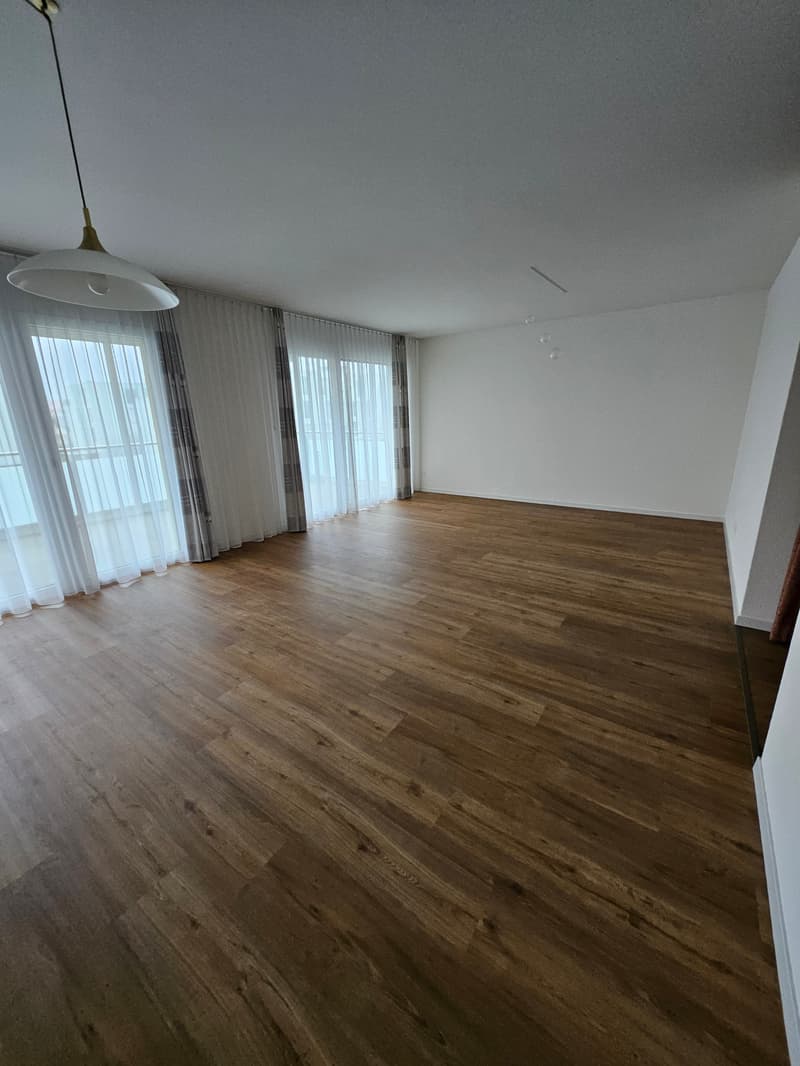 Grosse lichtdurchflutete  4.5 Zi Wohnung im Zentrum Oensingen (6)