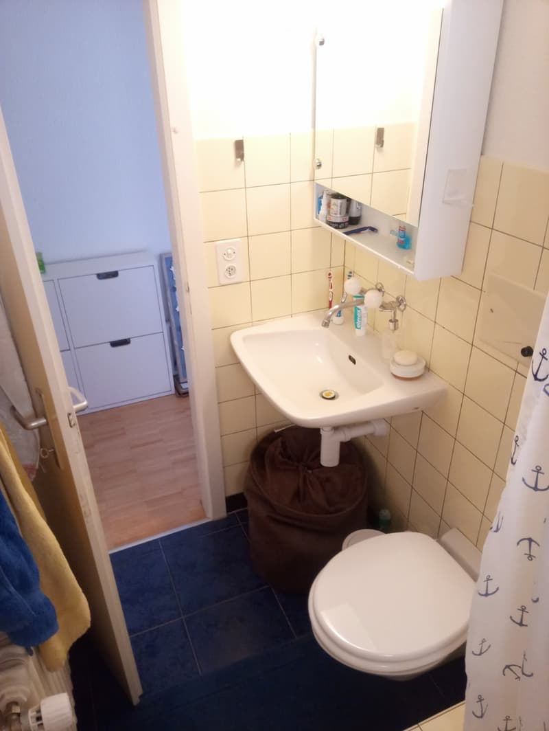 Helle 3-Zimmer-Wohnung mit Balkon in Kestenholz (8)