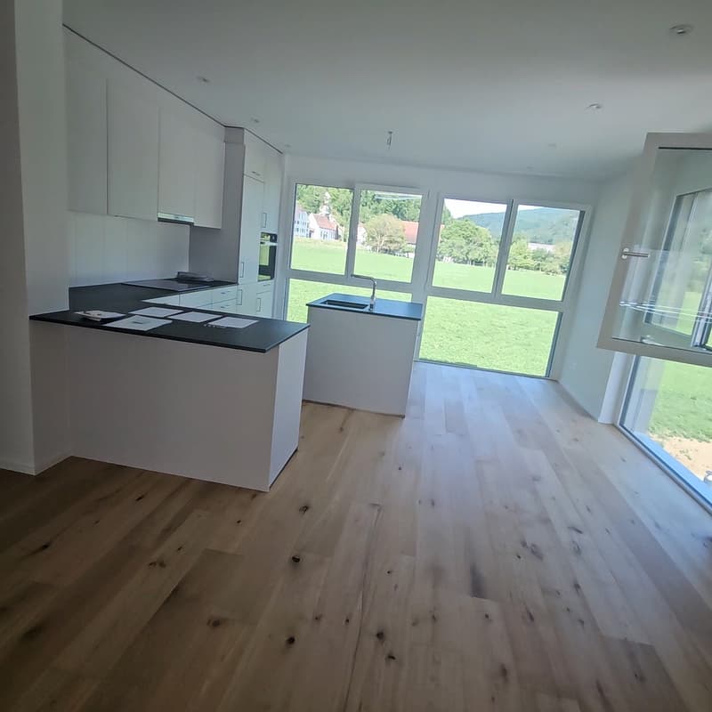 4.5 Zi Erdgeschoss Wohnung 126 m2 im Erdgeschoss in Balsthal (5)