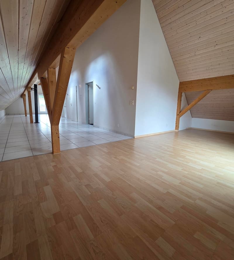 Charmante 2.5-Zimmer-Dachwohnung in ruhiger Lage von Laupersdorf (6)
