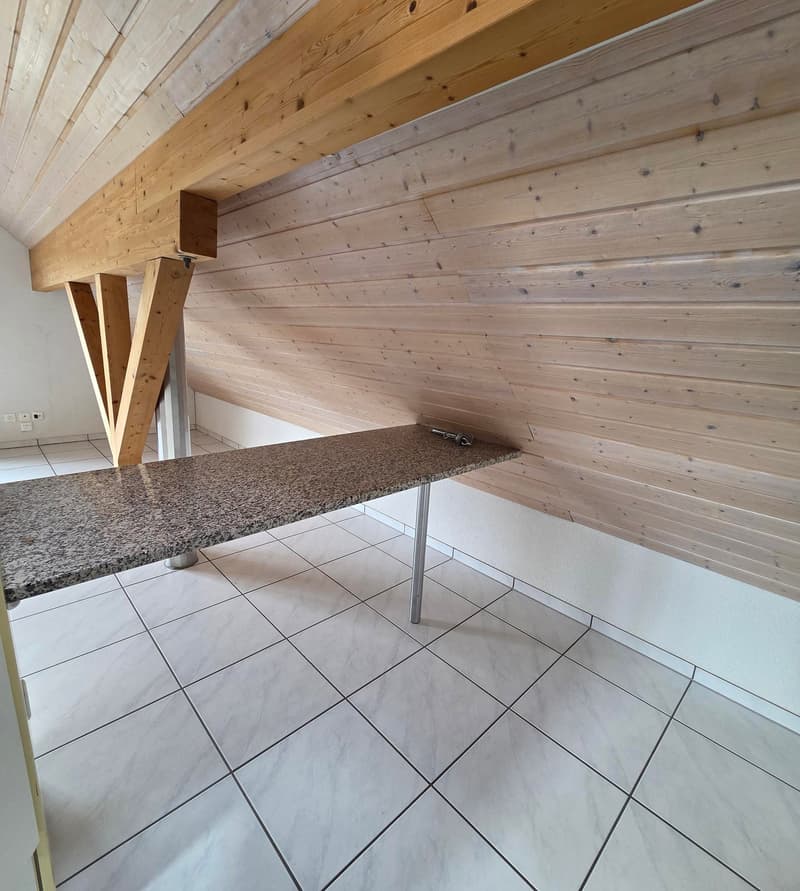 Charmante 2.5-Zimmer-Dachwohnung in ruhiger Lage von Laupersdorf (4)