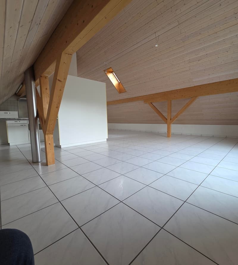 Charmante 2.5-Zimmer-Dachwohnung in ruhiger Lage von Laupersdorf (5)