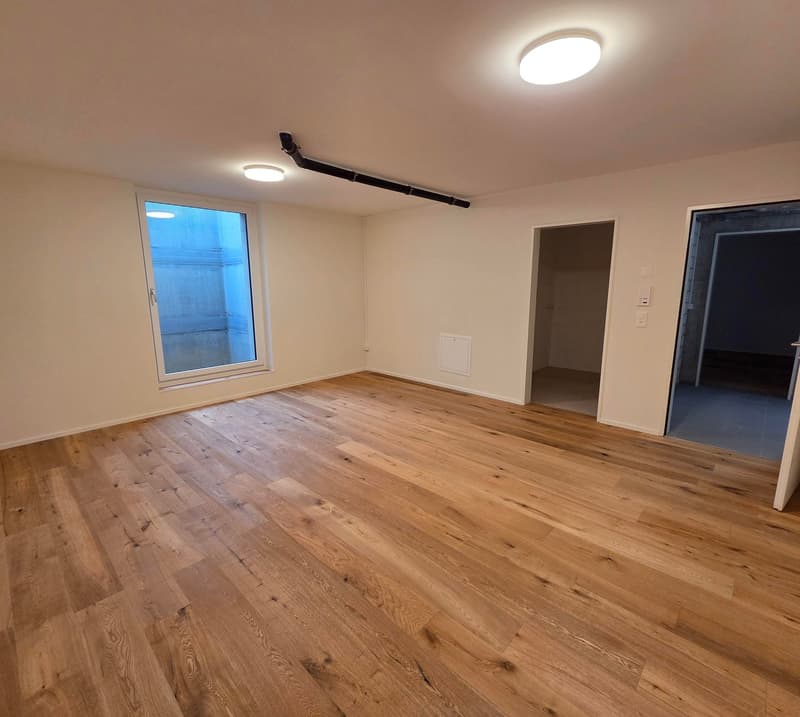 Modernes 1-Zimmer-Büro/Hobbyraum im Untergeschoss in Balsthal (3)