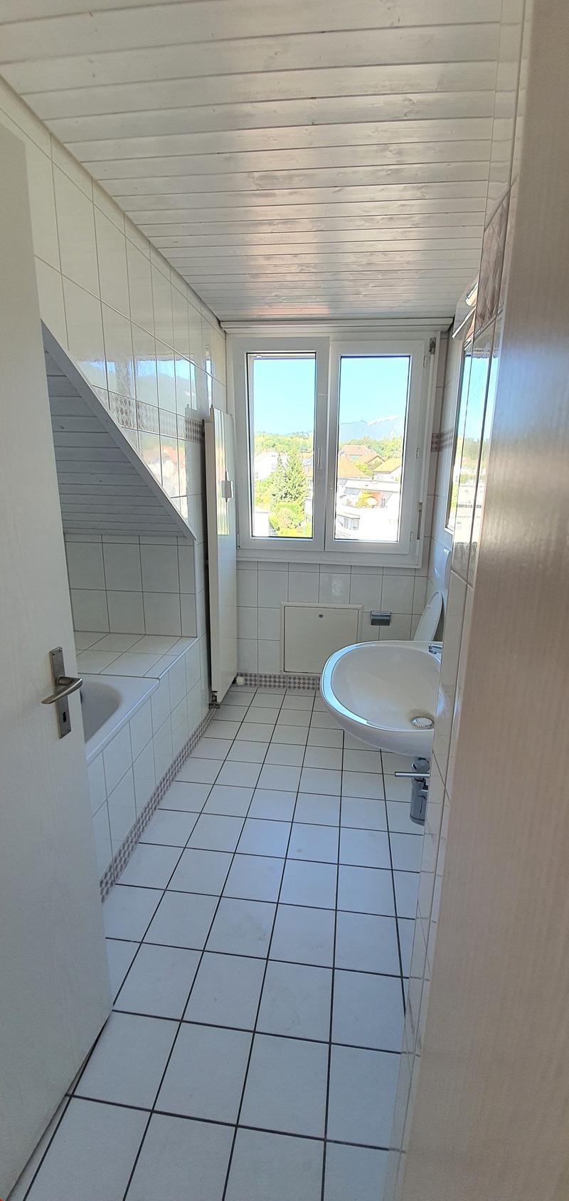 Charmante 2.5-Zimmer-Dachwohnung in Langendorf – mit schöner Aussicht! (6)