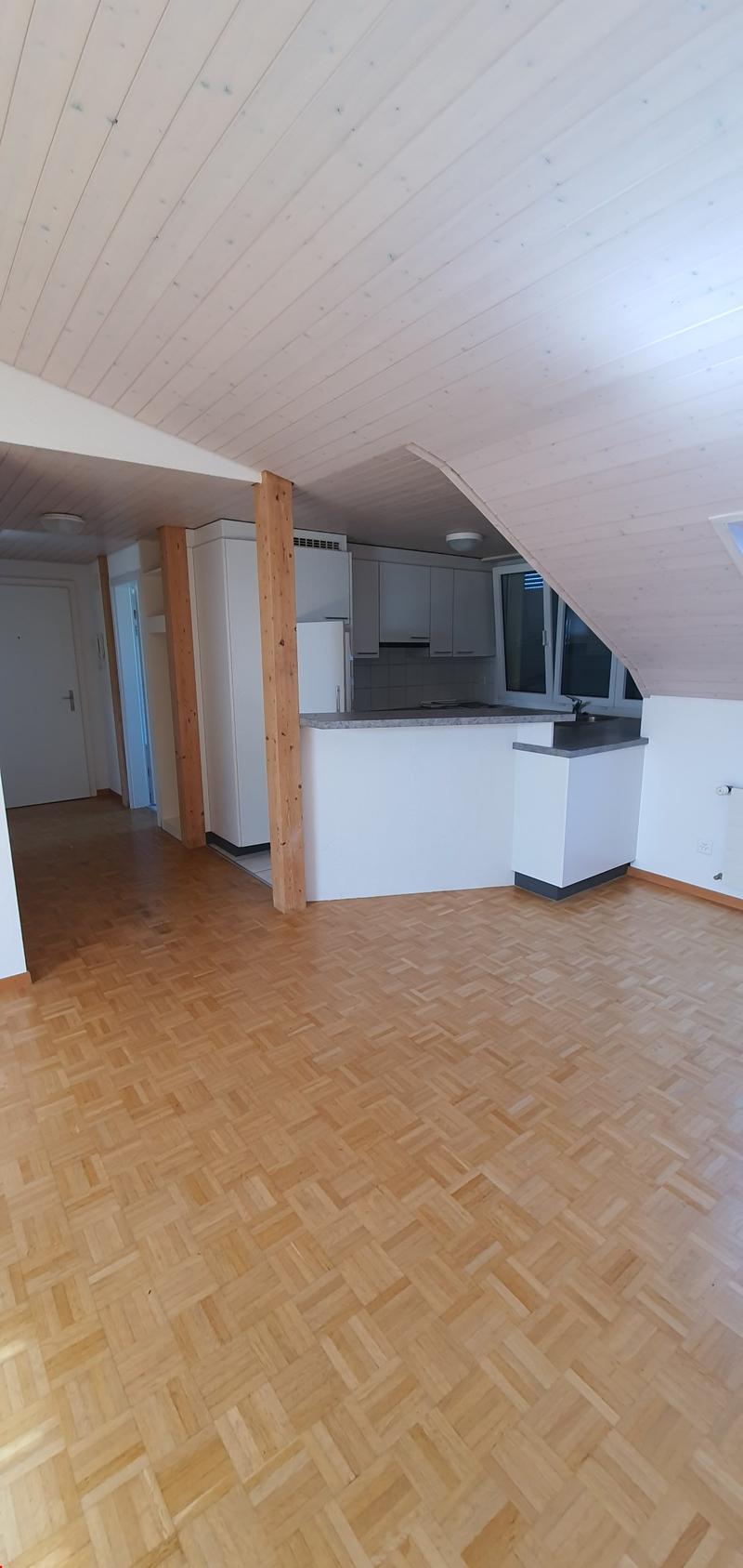 Charmante 2.5-Zimmer-Dachwohnung in Langendorf – mit schöner Aussicht! (2)