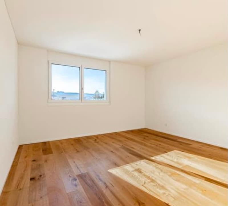Moderne 3-Zimmer-Wohnung mit Balkon und herrlicher Aussicht in Reinach (7)