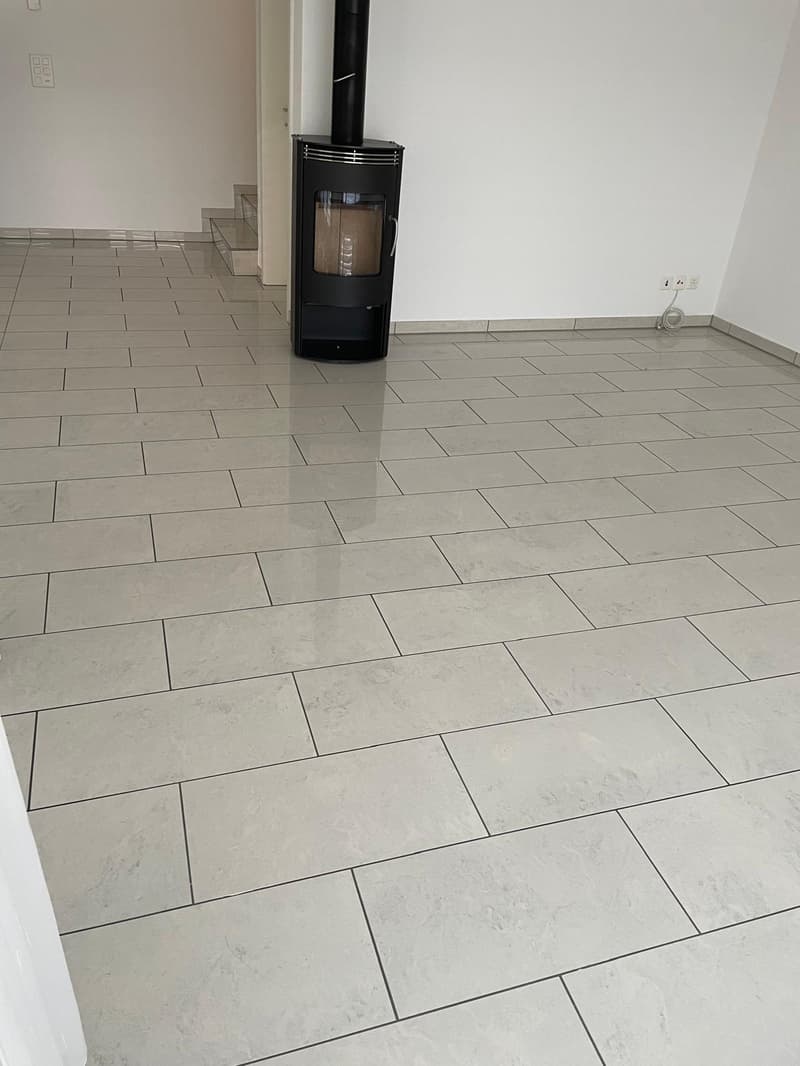 6 Zi. Reihen EFH an sonniger, erhöhter Lage in Wangen b Olten (6)