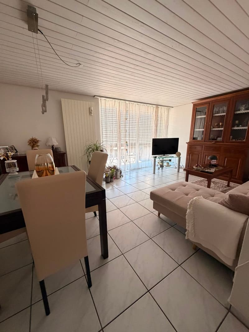 Charmante 3-Zimmer-Wohnung mit Balkon und schöner Aussicht in Grenchen (1)