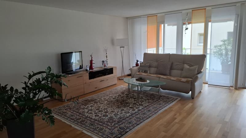 Helle 4-Zimmer-Wohnung im Erdgeschoss in Matzendorf – rollstuhlgängig & tierfreundlich (3)