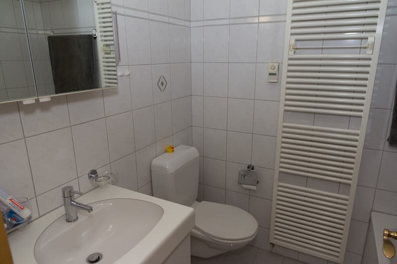 4.5 Zi Erdgeschoss Wohnung im Grünen (6)