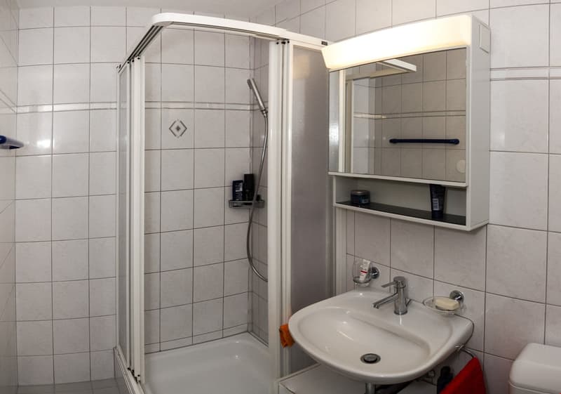 4.5 Zi Erdgeschoss Wohnung im Grünen (7)