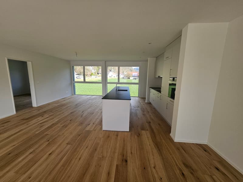 Unsere letzte Attika wartet auf Sie 80m2 Terrasse und toller Ausblick (4)