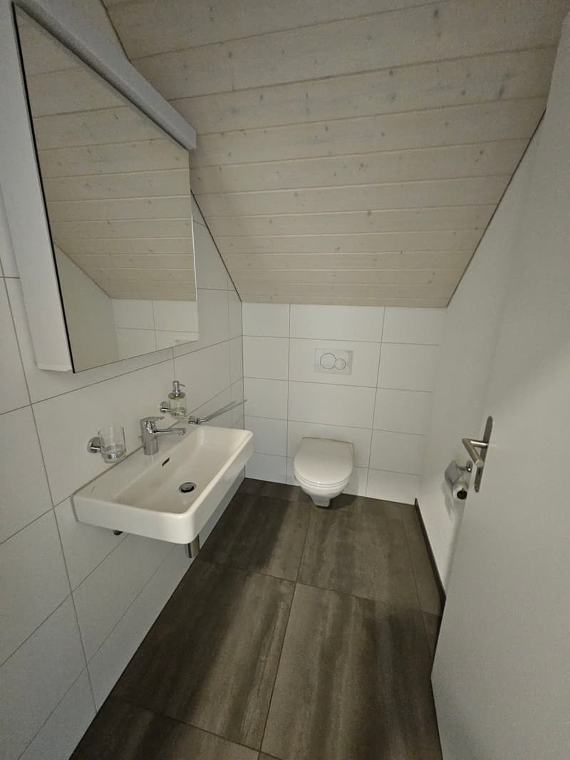 3.5 Zimmer Attikawohnung mit viel Charme (16)
