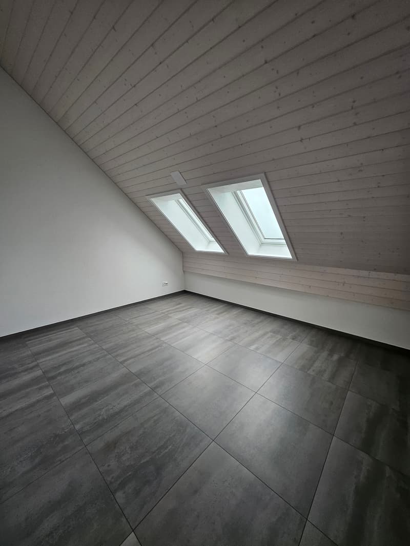 3.5 Zimmer Attikawohnung mit viel Charme (11)