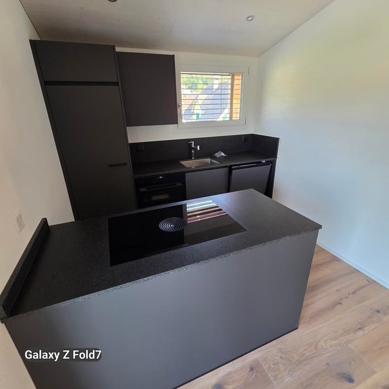 Charmante 2.5-Zimmer-Dachwohnung mit Bergblick in Oensingen (5)