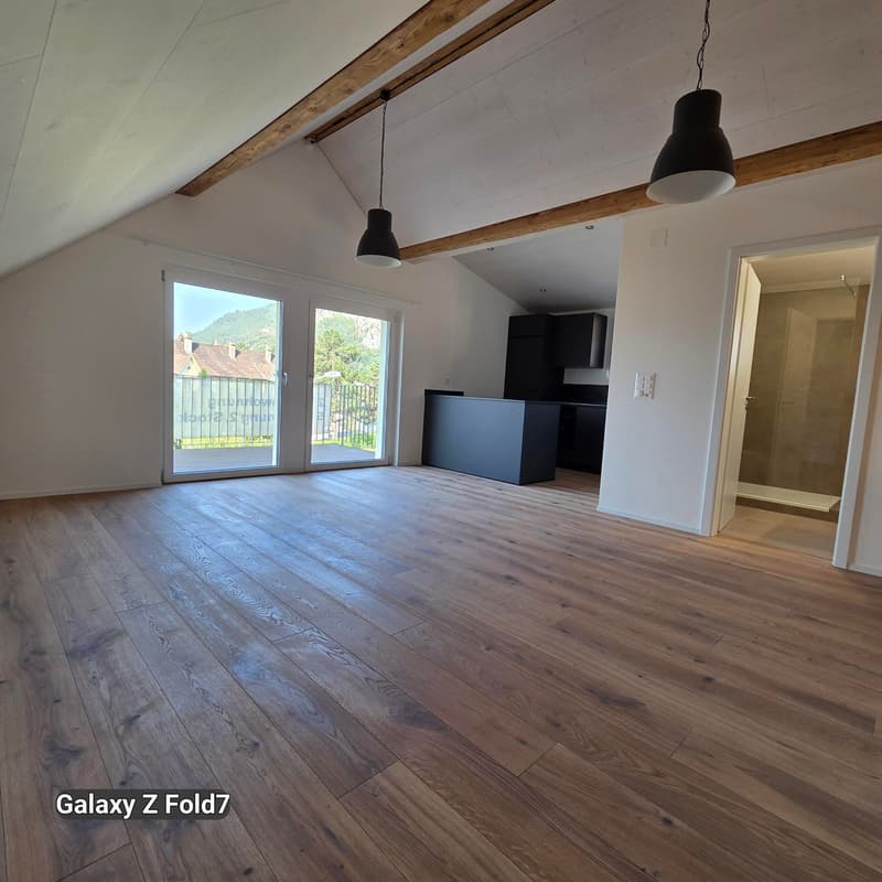 Charmante 2.5-Zimmer-Dachwohnung mit Bergblick in Oensingen (2)