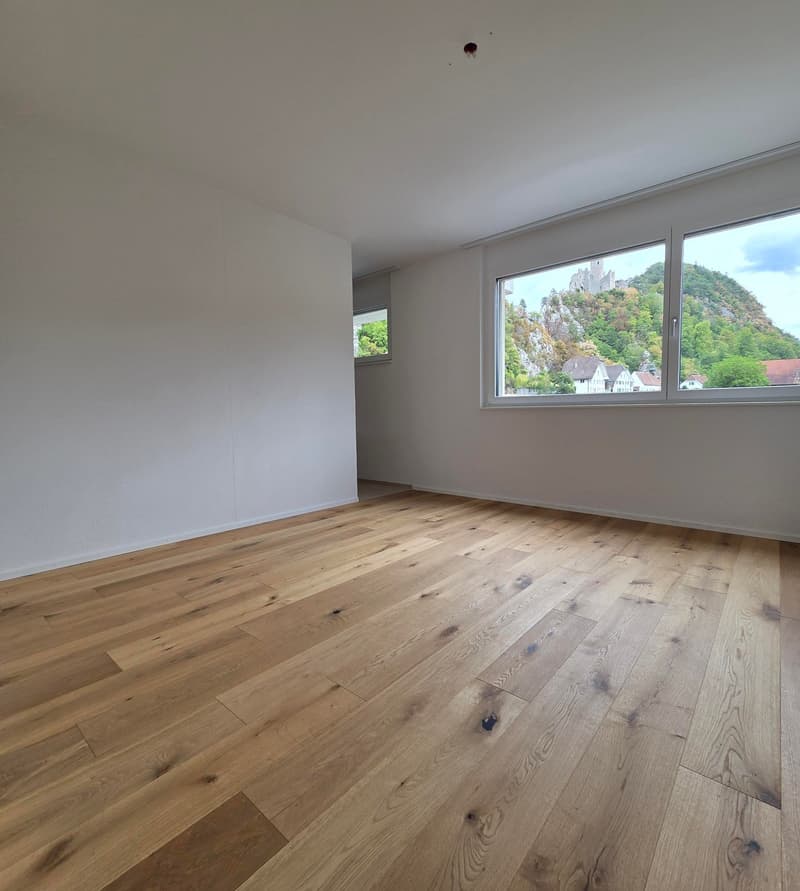 4.5 Zi Erdgeschoss Wohnung 126 m2 im Erdgeschoss in Balsthal (6)