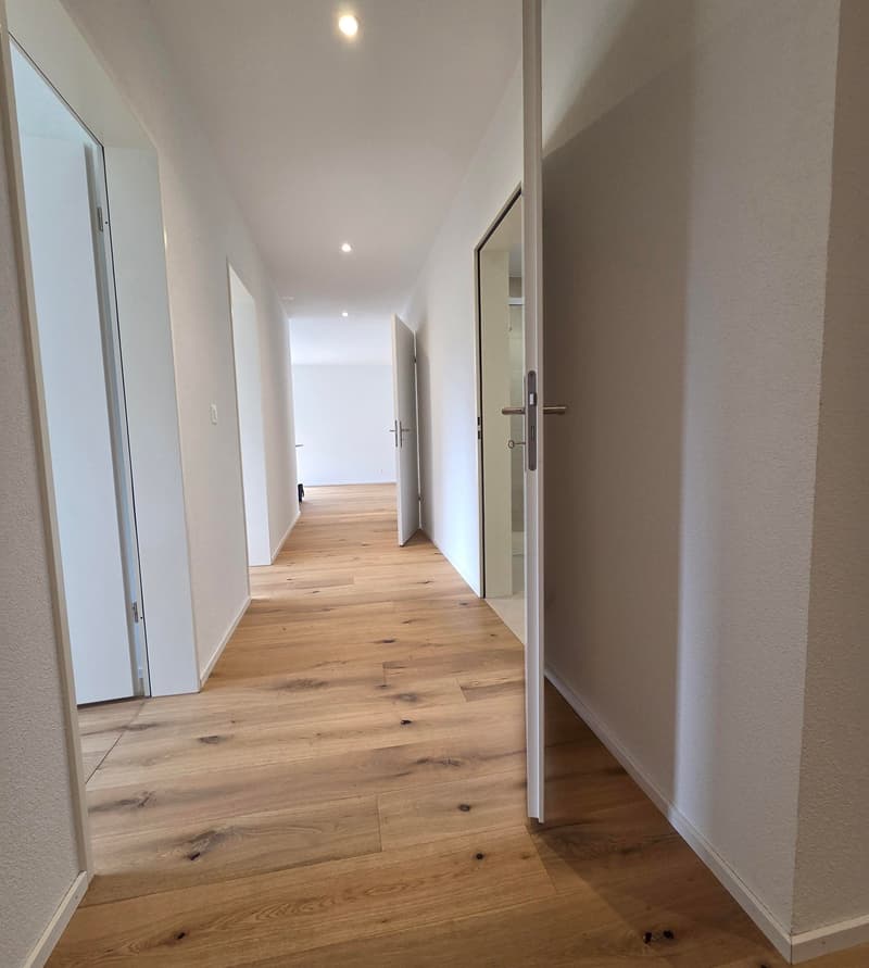 4.5 Zi Erdgeschoss Wohnung 126 m2 im Erdgeschoss in Balsthal (10)