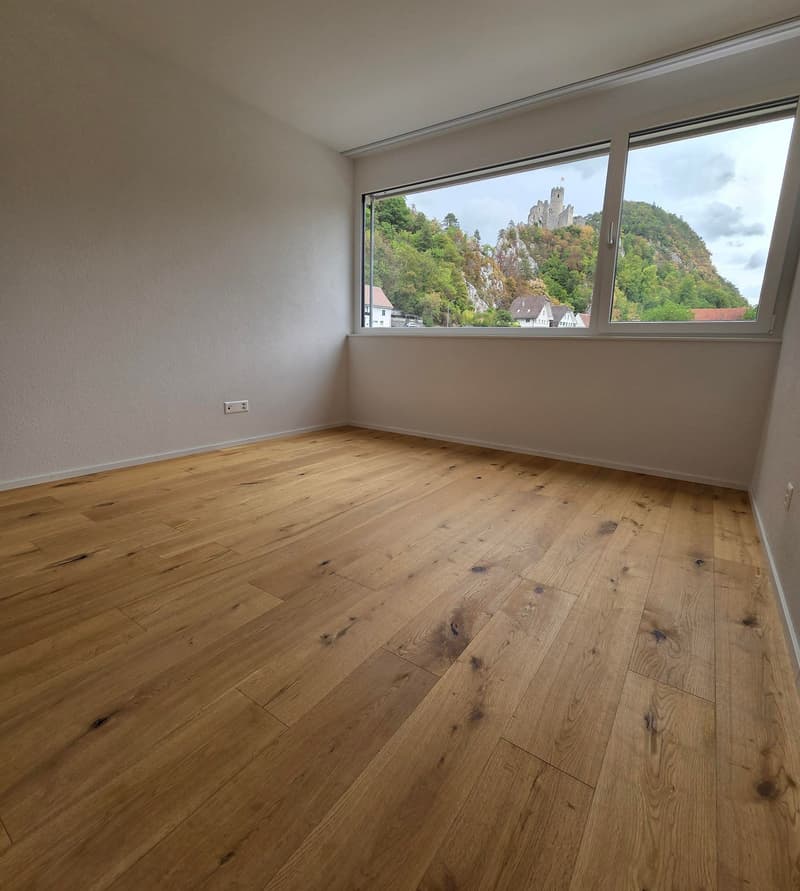 4.5 Zi Erdgeschoss Wohnung 126 m2 im Erdgeschoss in Balsthal (13)