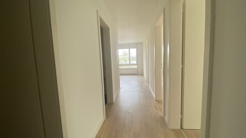 Sanierte 6.5-Zimmerwohnung in Müsingen zu vermieten (2)