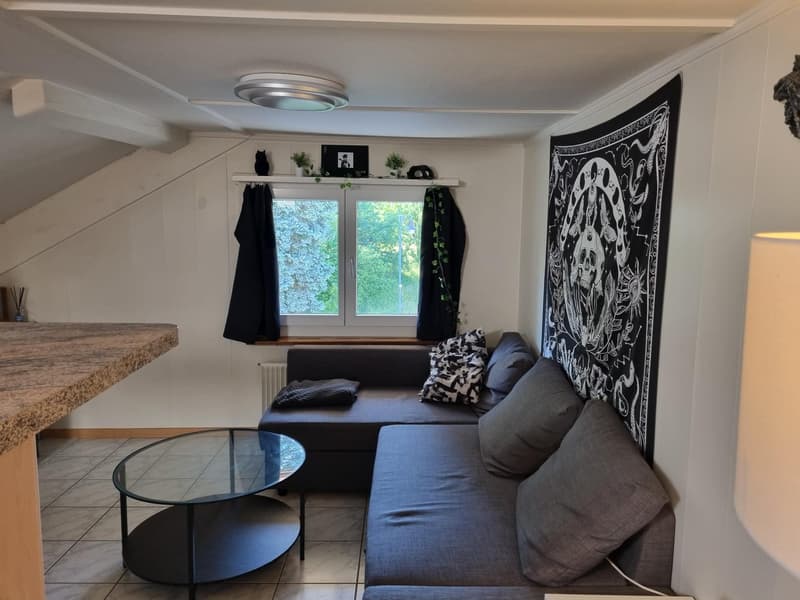 Charmante 3-Zimmer-Altbauwohnung im Dachgeschoss in Seedorf (4)