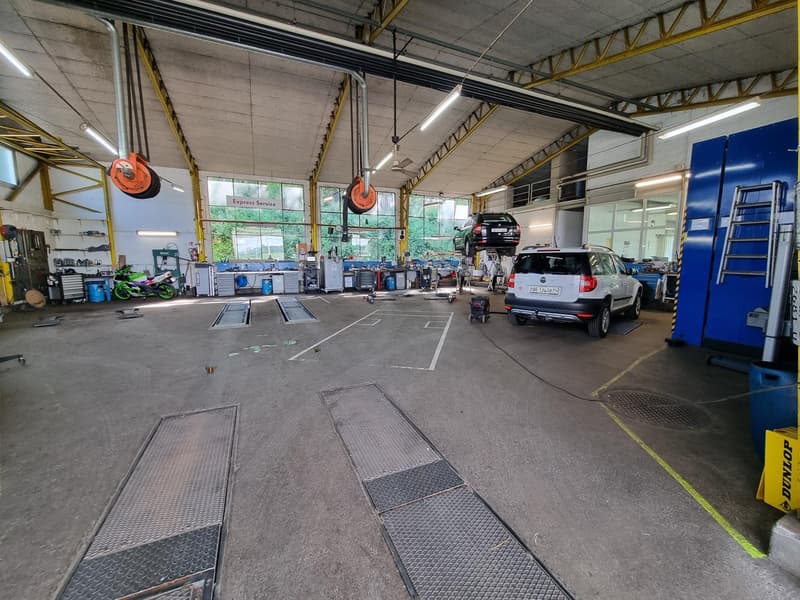 Vermietung von ebenerdigen Gewerbeflächen mit vielen Parkmöglichkeiten (9)