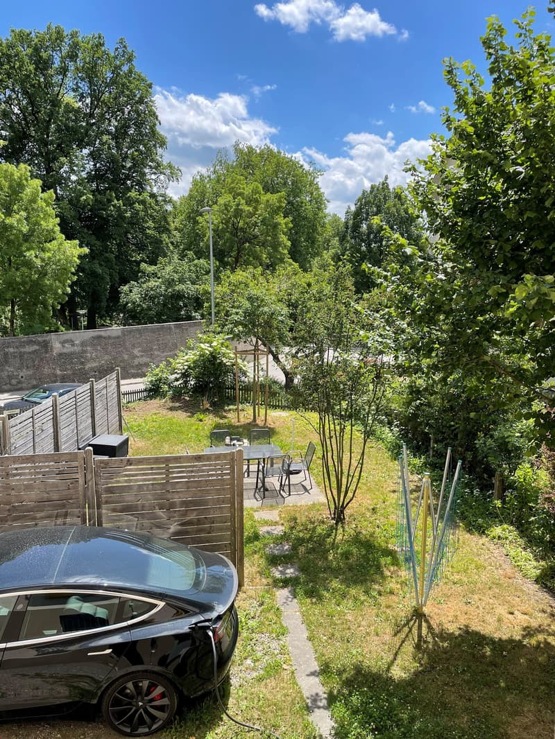 grüner Ausblick in den Garten