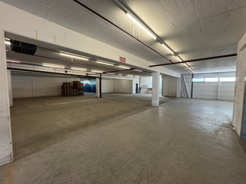 Concrete floor, metal beams, white walls, ventilation system, stacks of wooden pallets, entrance doors, fluorescent lighting
