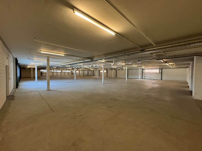 Empty warehouse, concrete floor, fluorescent lights on the ceiling, white pillars, garage doors