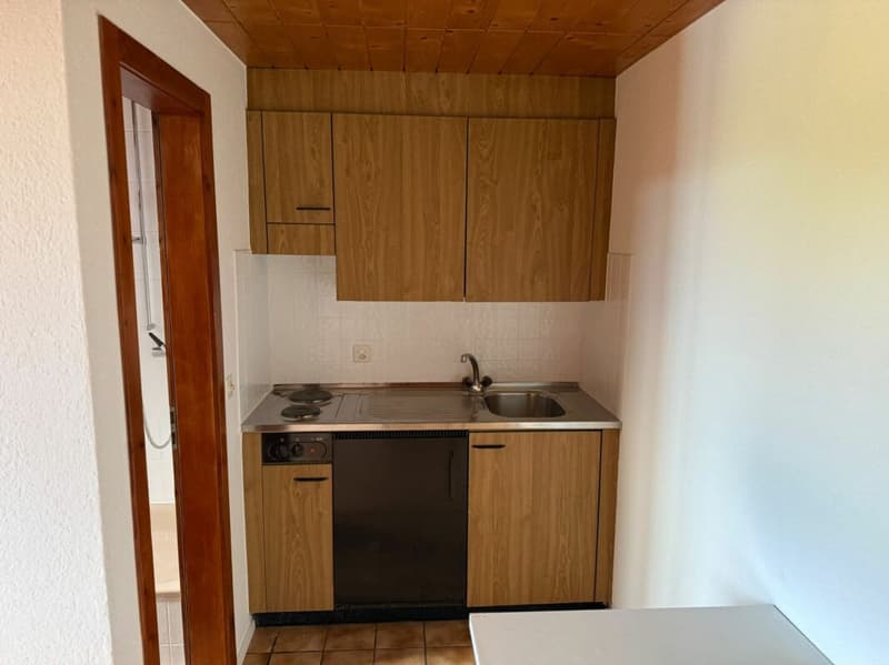 Magnifique studio à Vuisternens-en-Ogoz (5)