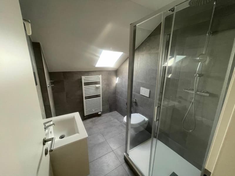 Appartement rénové de 3.5 pièces au 3e étage avec jardin commun (10)