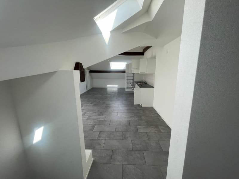 Appartement rénové de 3.5 pièces au 3e étage avec jardin commun (4)