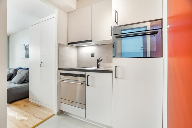 Living, Renting, Profiting - Two Studios with Versatile Options (4)