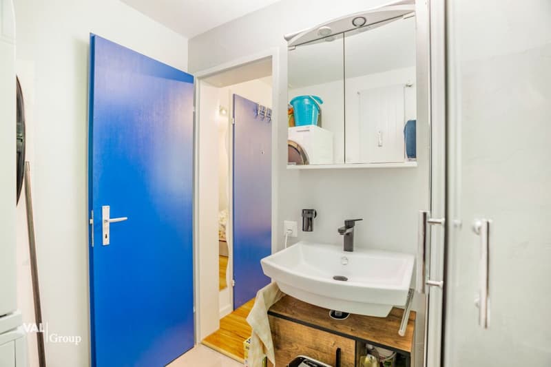 Living, Renting, Profiting - Two Studios with Versatile Options (13)