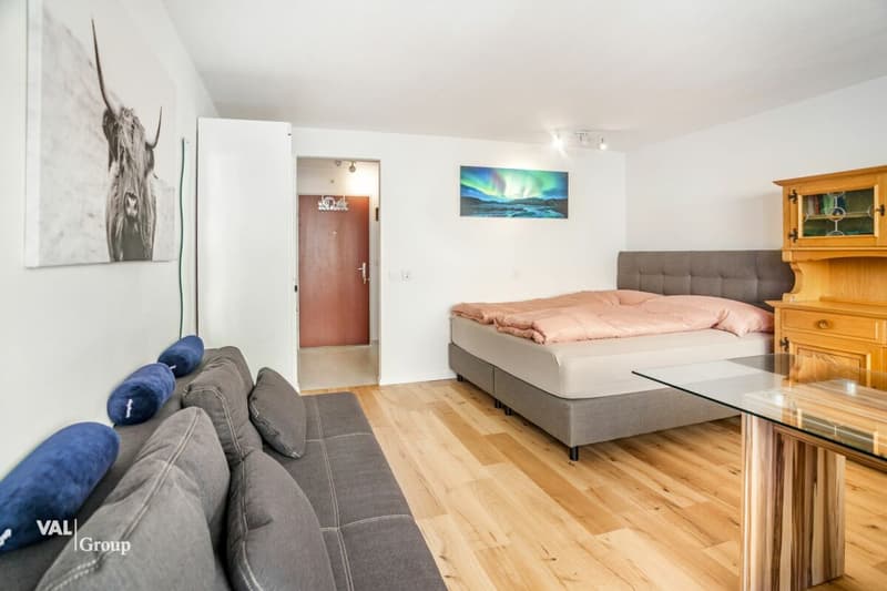 Living, Renting, Profiting - Two Studios with Versatile Options (6)