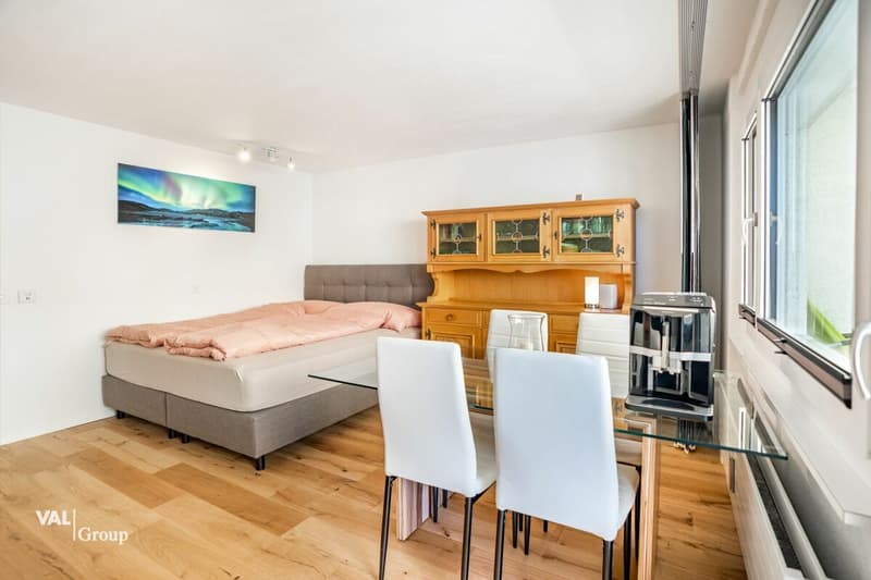 Living, Renting, Profiting - Two Studios with Versatile Options (2)