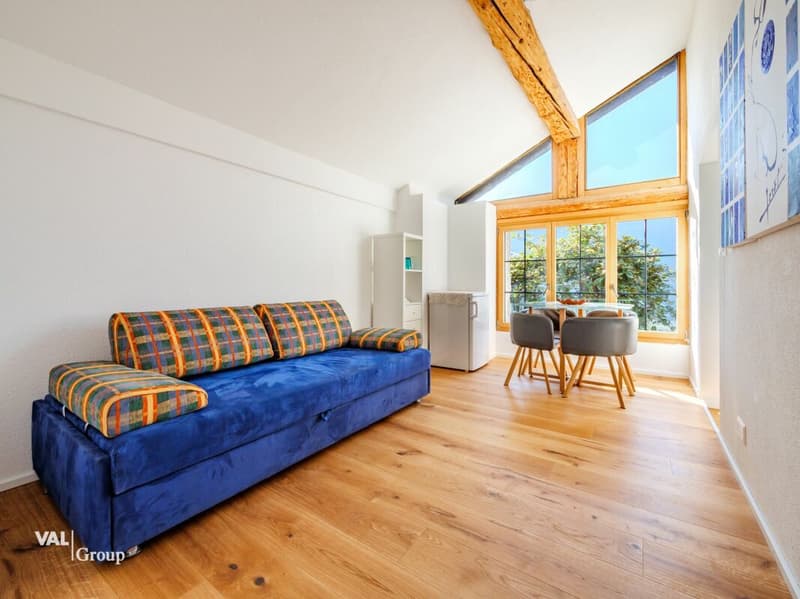 Opportunité unique: Maison avec deux appartements indépendants (5.5 et 2.5 pièces) (2)