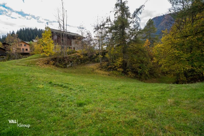 Bauland in Blatten bei Naters - Naturparadies in der Aletschregion (6)