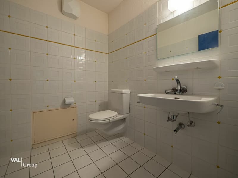 Charmante propriété de 3 pièces aux usages variés (7)