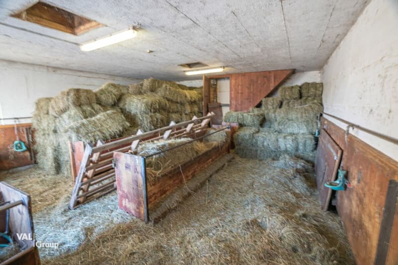 Stable, barn, and garage in a beautiful location (4)