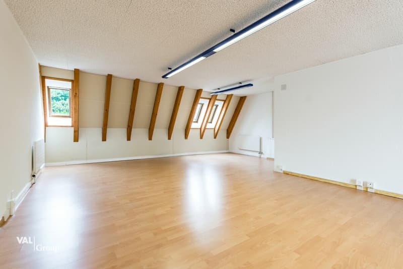Saint-Légier - Une adresse d'exception pour implanter votre activité (4)