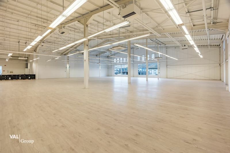Ampia sala commerciale a Eyholz - versatile e ideale per la connessione (4)