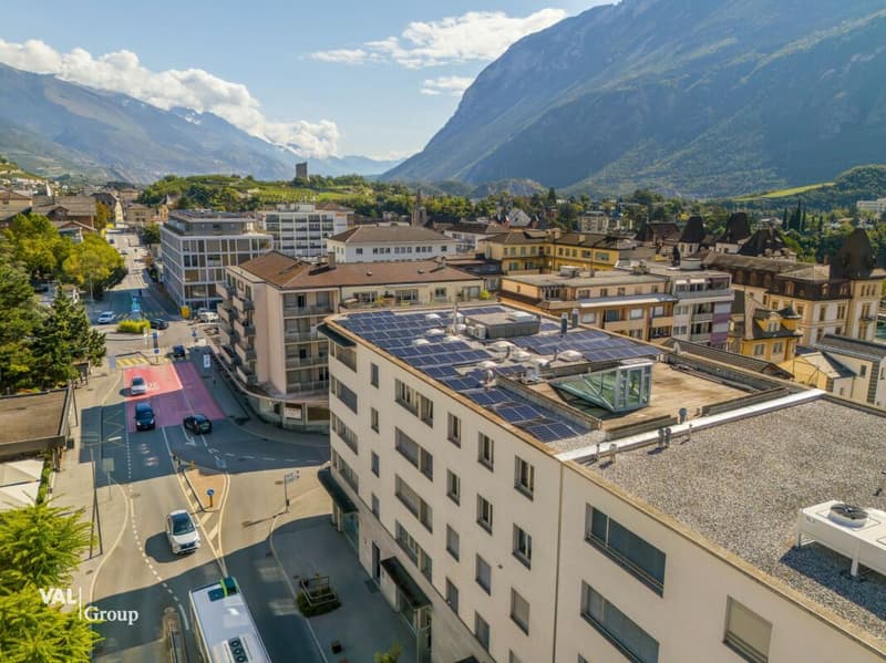 Attique en duplex avec terrasse sur le toit, au coeur de la ville (13)