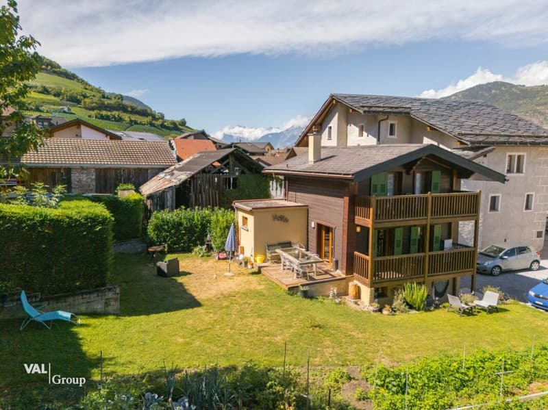 Charmant chalet avec beau jardin terrasse, en plein coeur du village (8)